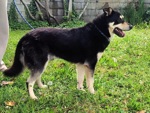 FULVIO CERCA CASA Foto 4